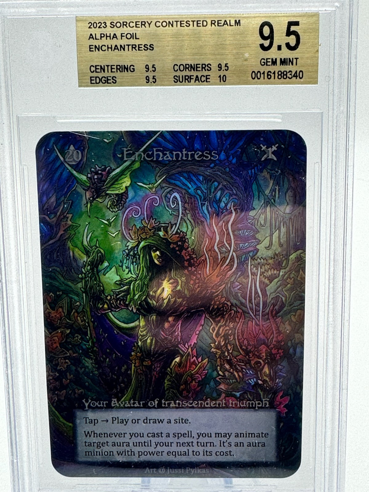 Graded Alpha Foil Enchantress 9.5 Quad+